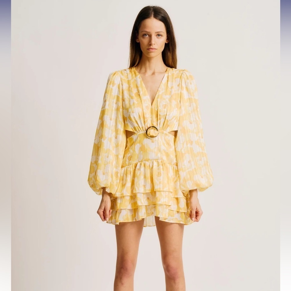 $278 Torn By Ronny Kobo Cassie Dress
